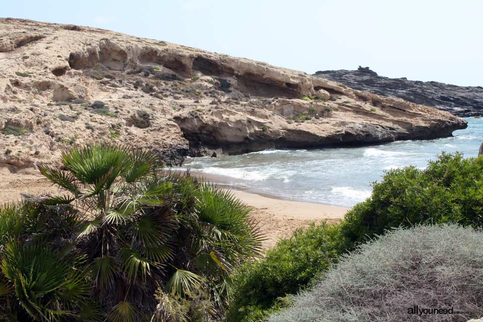 Cala de los Déntoles. Playas de Calblanque. Cartagena