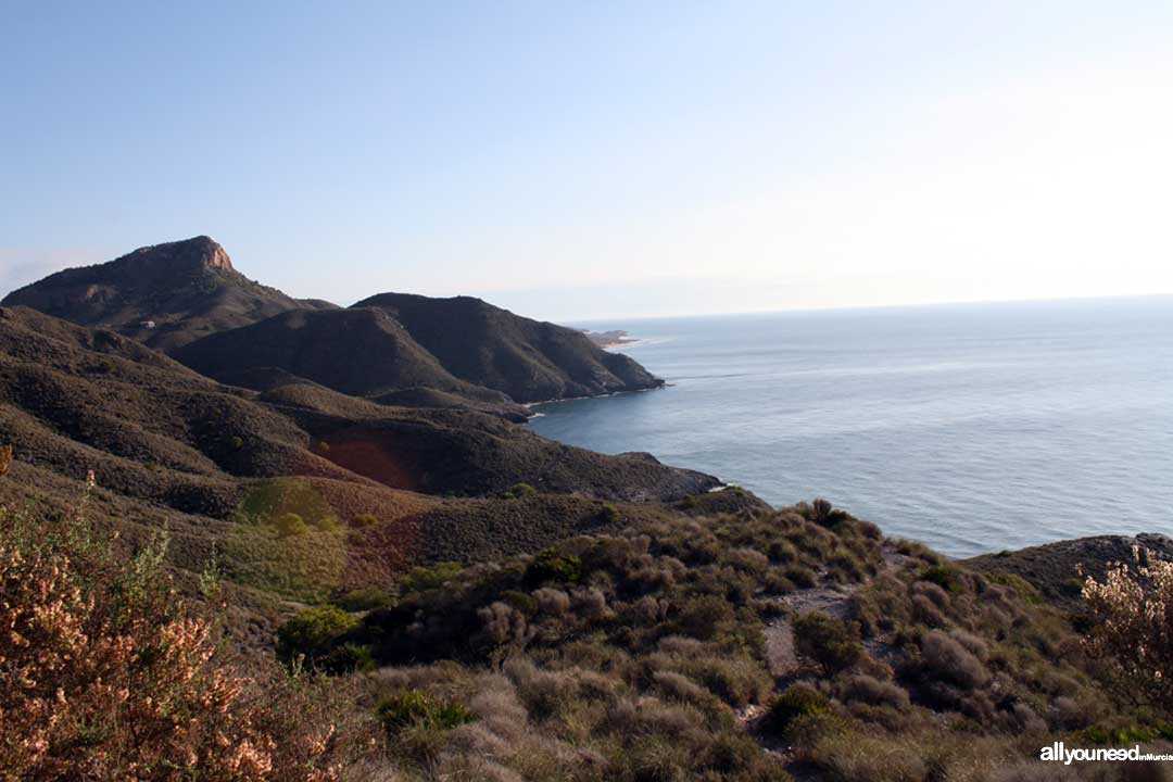 Cala del Barco. Playas de Calblanque. Murcia. Panorámicas