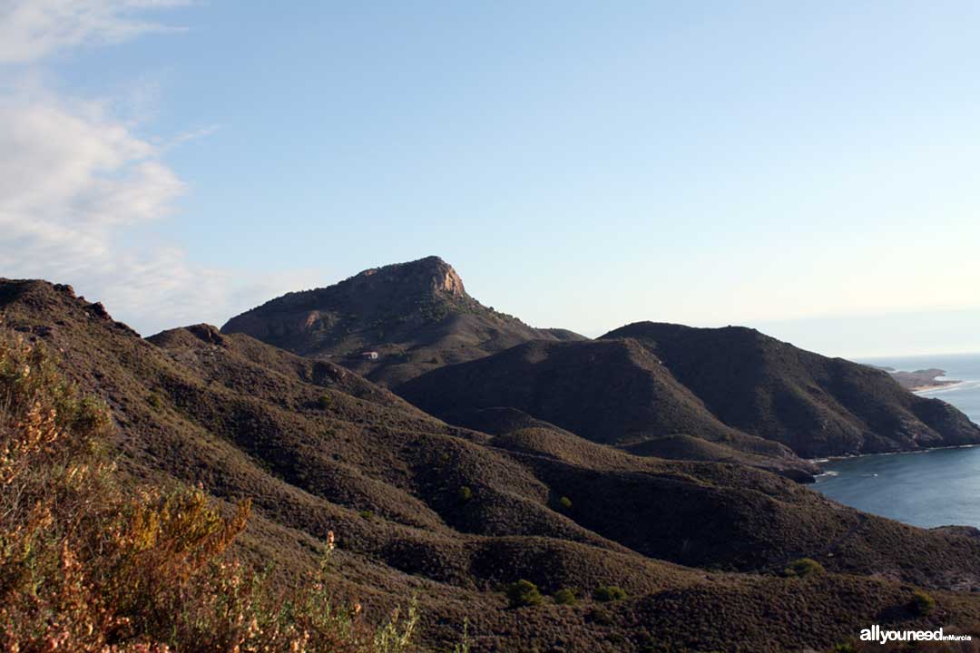 Barco Cove. Panoramic views