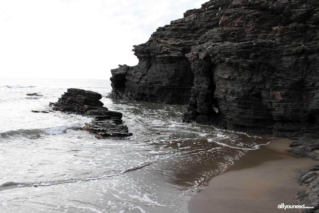 Cuervo Cove