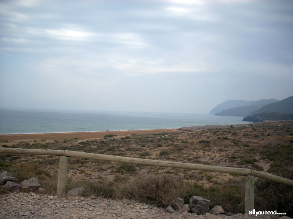 Long Beach en Calblanque