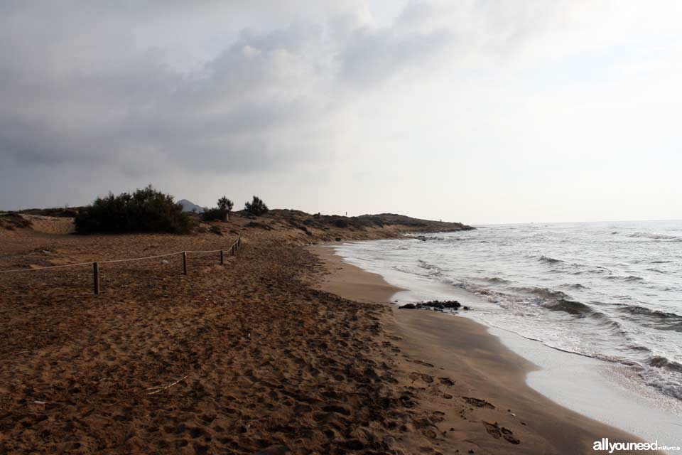 Playa Larga. Playas de Calblanque. Mejores playas de Murci