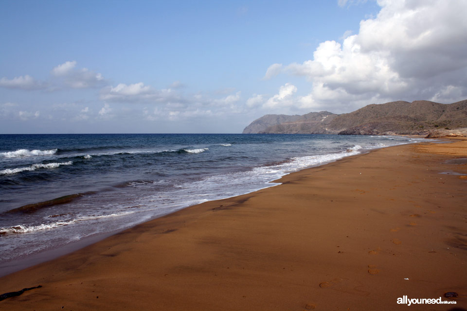 Long Beach en Calblanque