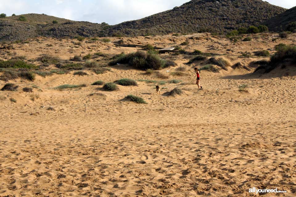 Playa Larga. Playas de Calblanque. Mejores playas de Murci