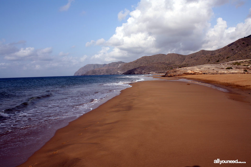 Playa Larga. Calblanque