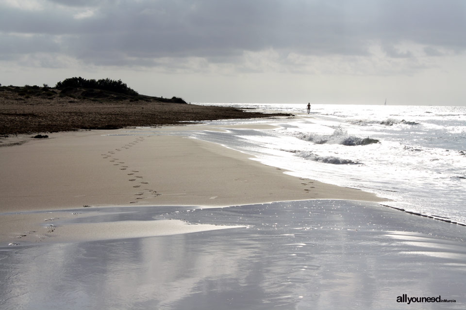 Long Beach en Calblanque