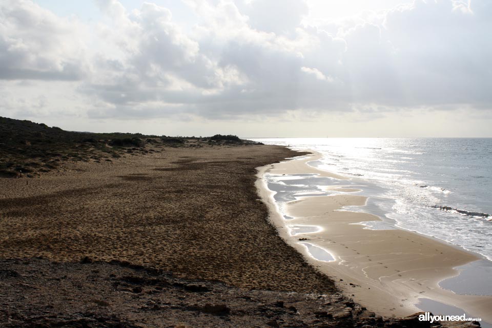 Long Beach en Calblanque