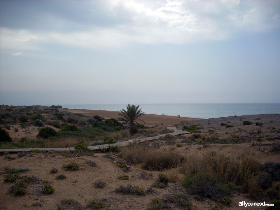 Playa Larga. Playas de Calblanque. Mejores playas de Murci