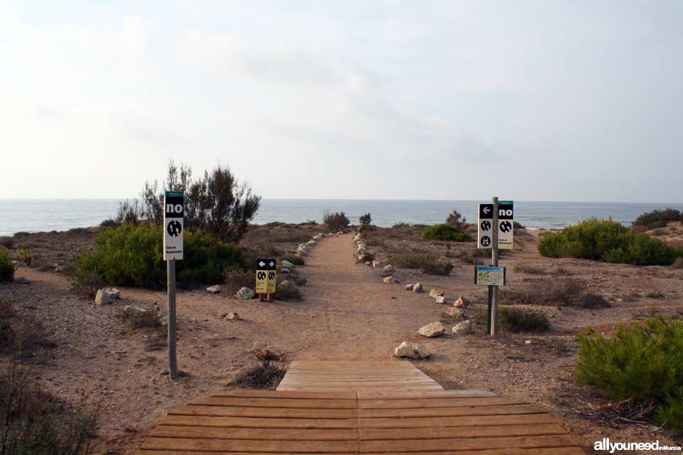 Long Beach en Calblanque