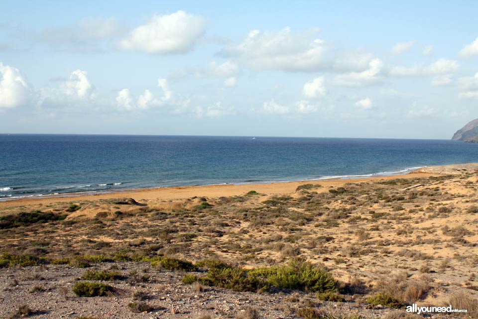 Playa Larga. Playas de Calblanque. Mejores playas de Murci