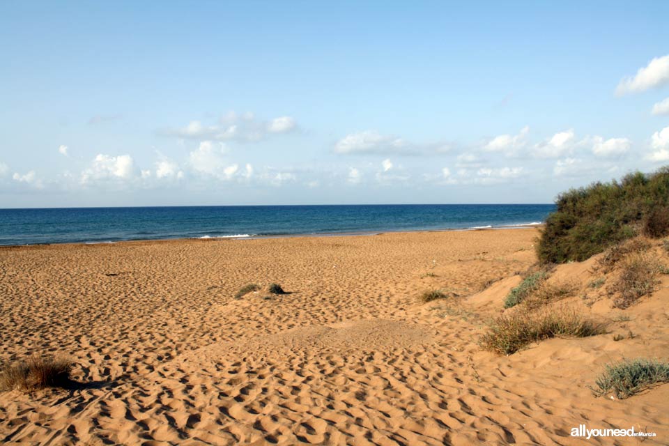 Playa Larga. Playas de Calblanque. Mejores playas de Murci