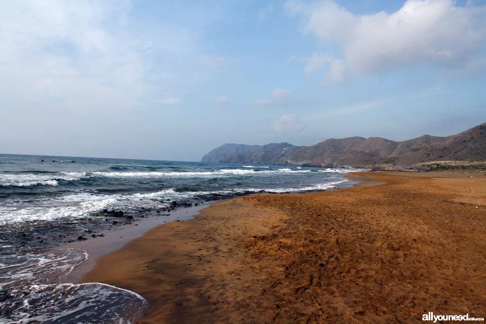 Playa Larga. Playas de Calblanque. Mejores playas de Murci