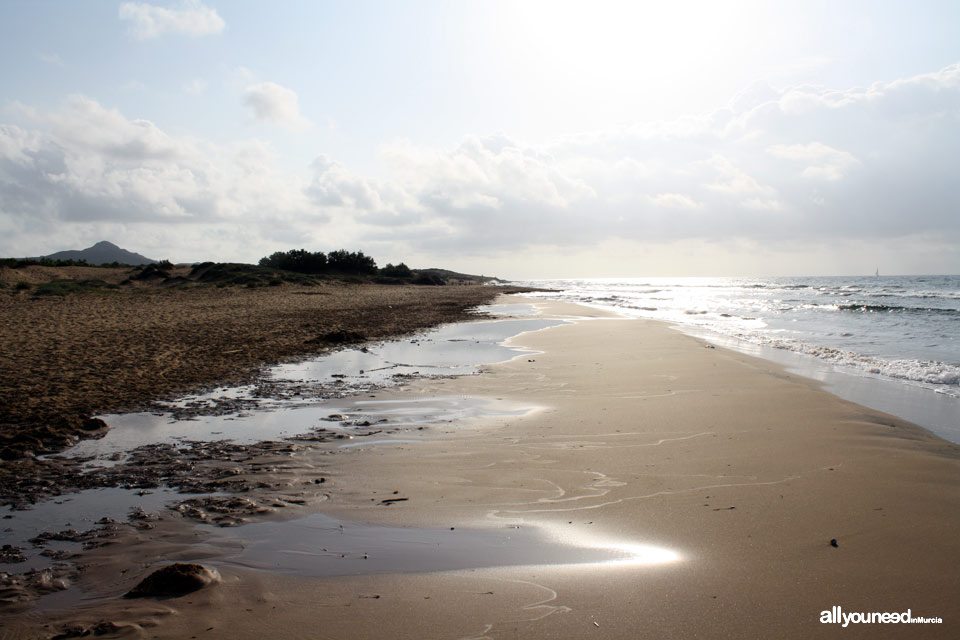 Long Beach en Calblanque