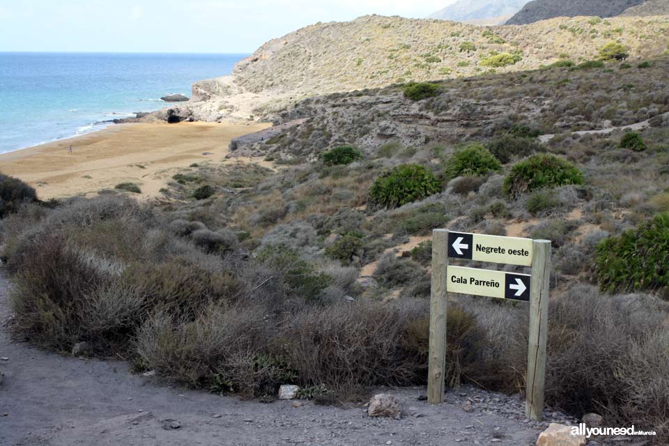 Playa Negrete