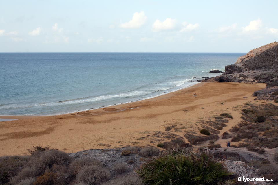 Playa Negrete