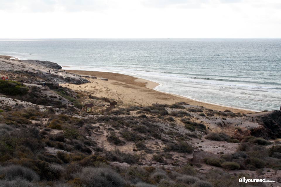 Playa Negrete