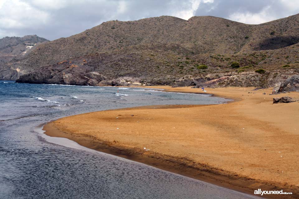 Playa Negrete