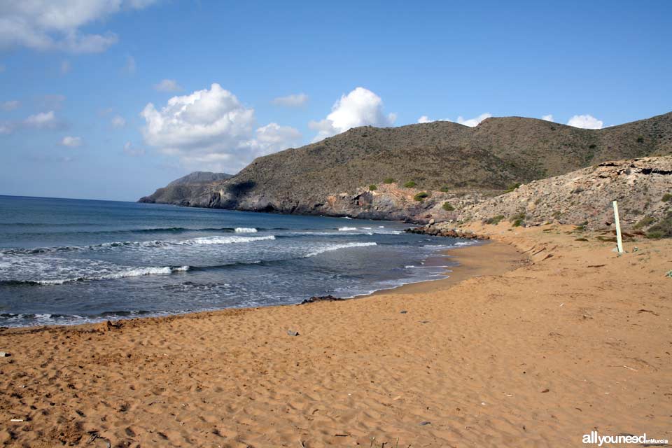 Playa Parreño. Playas de Calblanque. Baños nudistas solitarios