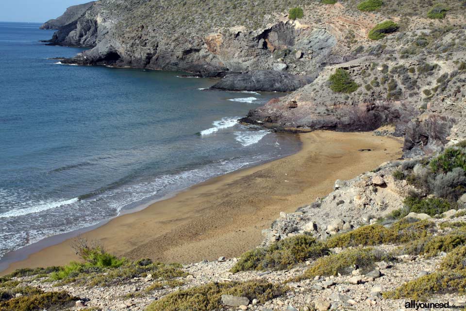 Playa Parreño. Playas de Calblanque. Baños nudistas solitarios