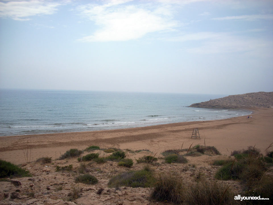 Calblanque Beach