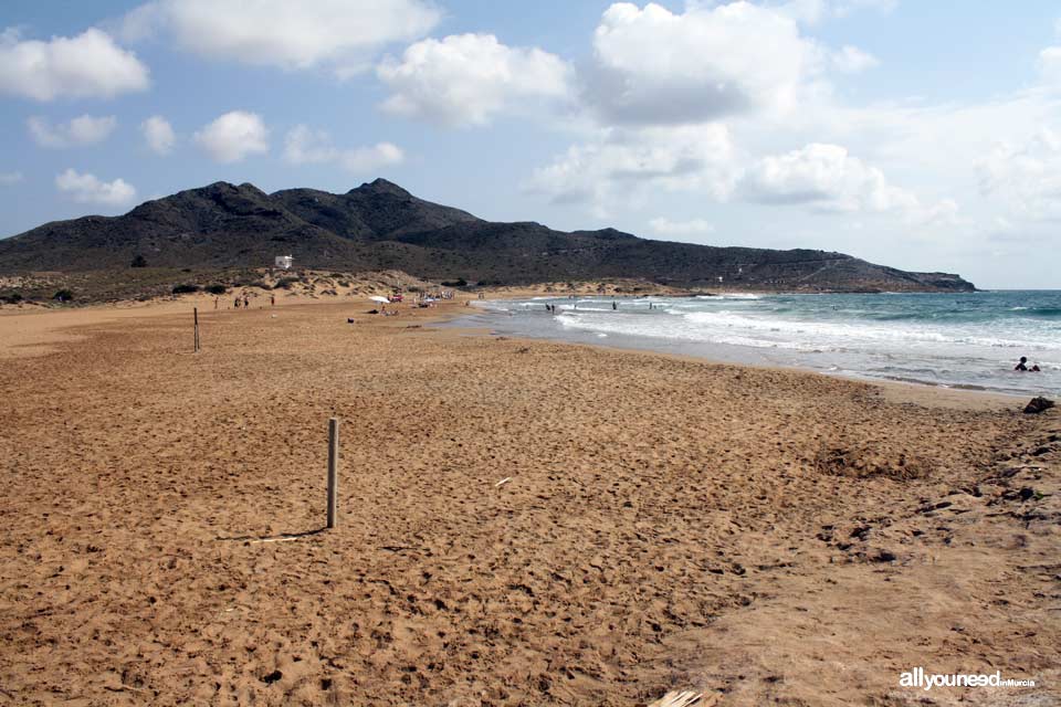 Playa de Calblanque Playas de Calblanque. Cartagena