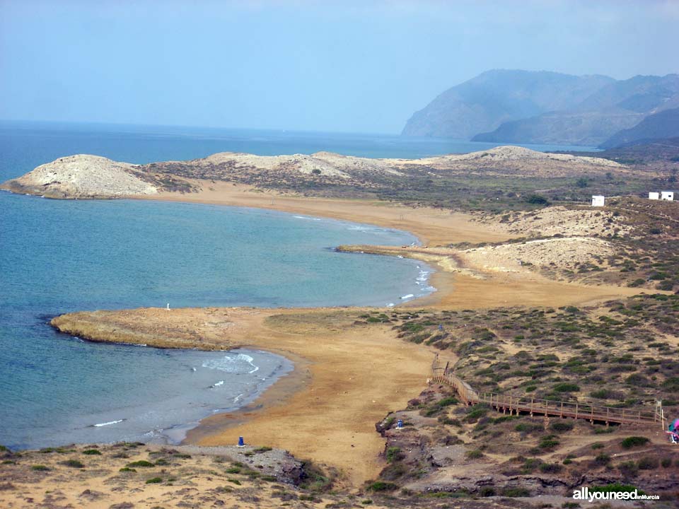 Playa de Calblanque Playas de Calblanque. Cartagena