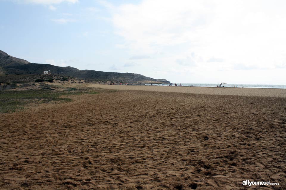 Playa de Calblanque Playas de Calblanque. Cartagena