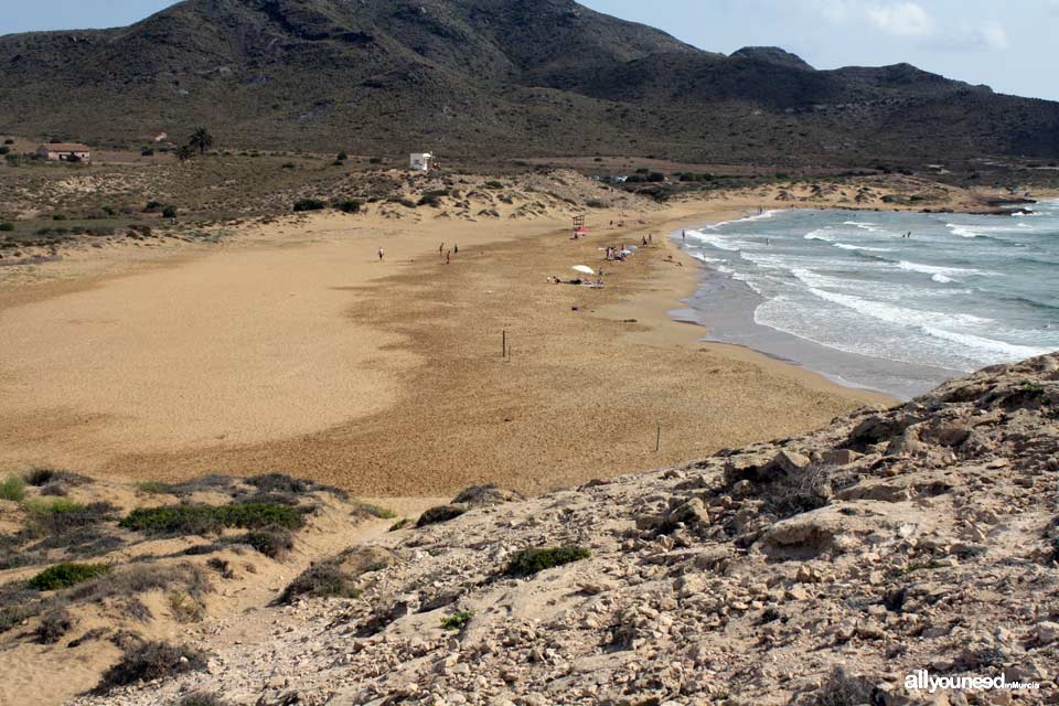 Playa de Calblanque Playas de Calblanque. Cartagena