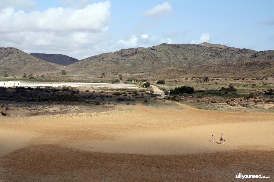 Calblanque Beach