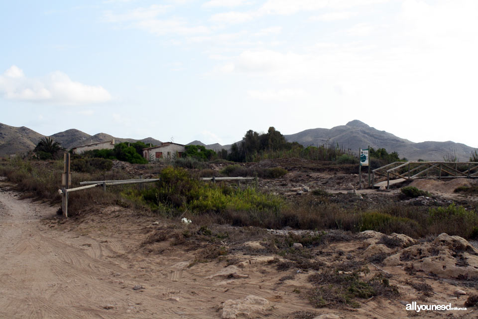 Playa de las Cañas. Playas de Calblanque. Murcia