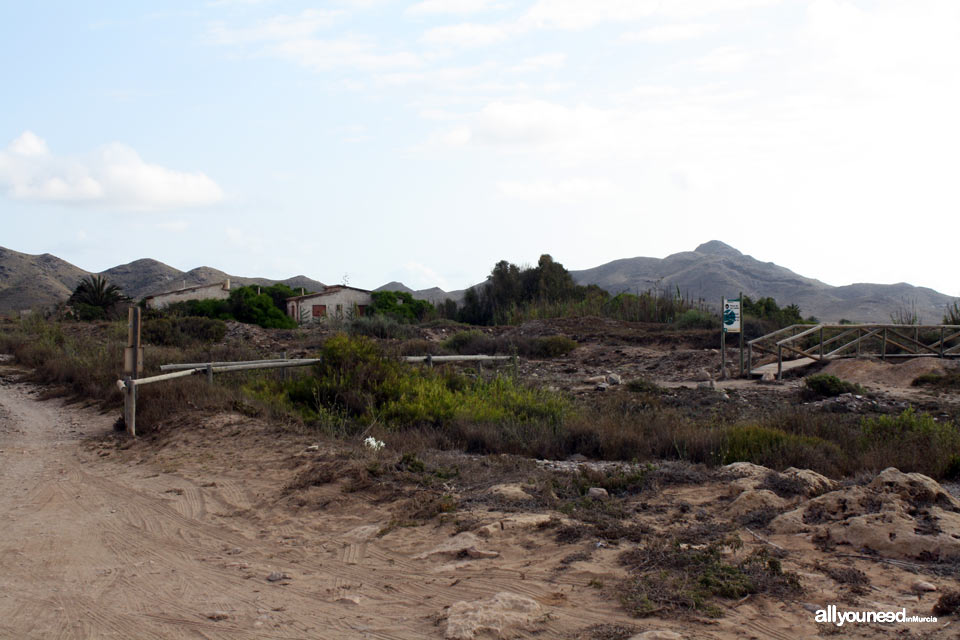 Playa de las Cañas