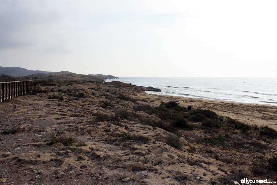 Playa de las Cañas. Playas de Calblanque. Murcia