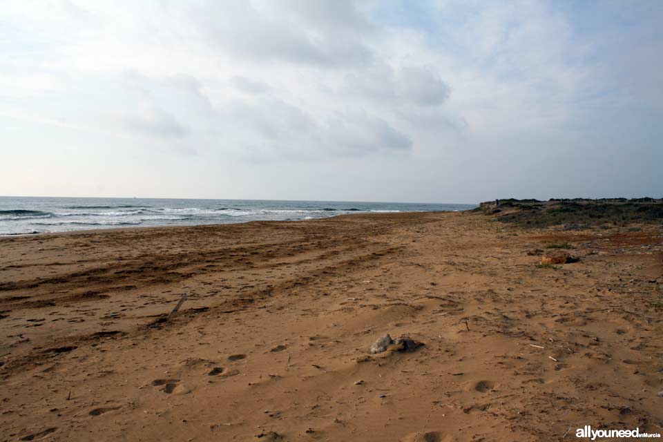 Playa de las Cañas. Playas de Calblanque. Murcia