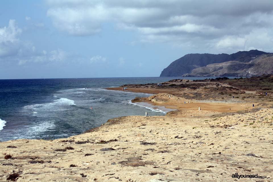 Cañas Beach