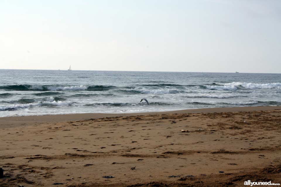 Playa de las Cañas. Playas de Calblanque. Murcia