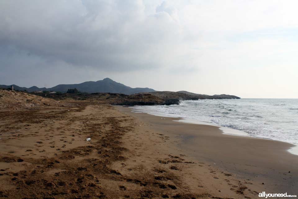 Playa de las Cañas. Playas de Calblanque. Murcia