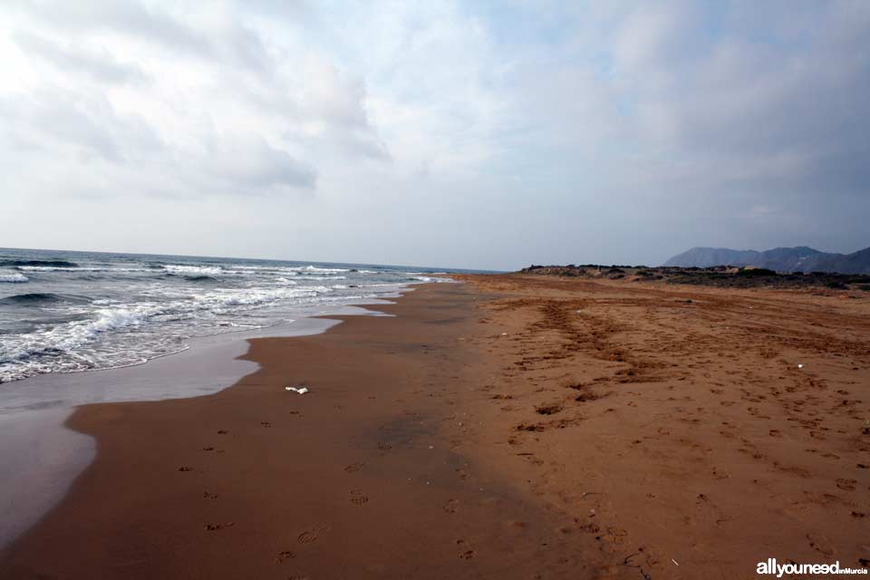 Playa de las Cañas. Playas de Calblanque. Murcia