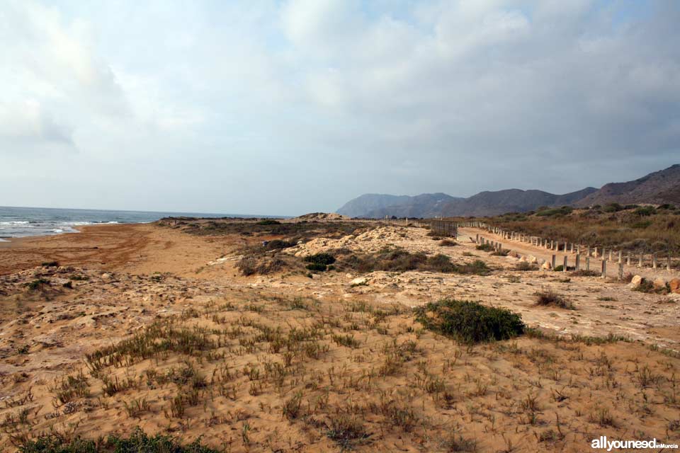 Playa de las Cañas. Playas de Calblanque. Murcia