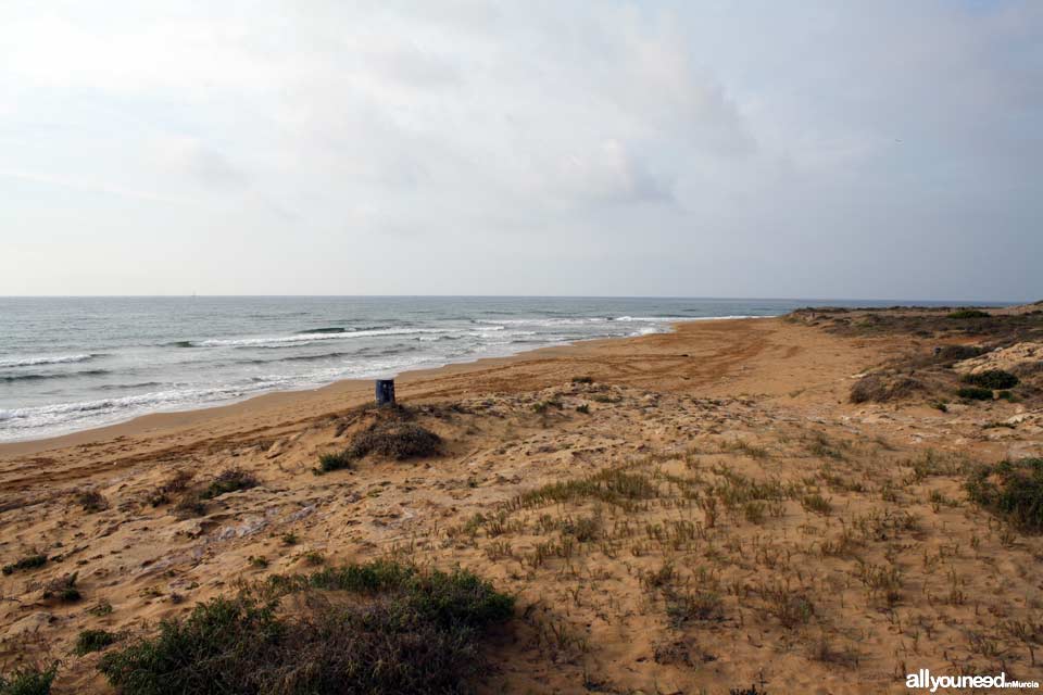 Playa de las Cañas. Playas de Calblanque. Murcia