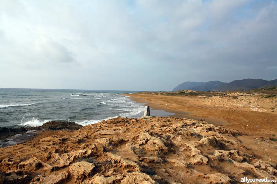 Playa de las Cañas. Playas de Calblanque. Murcia