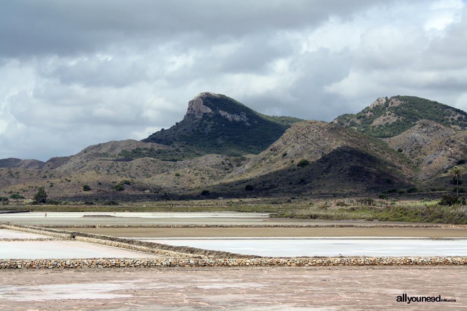 Calblanque. Las Salinas del Rasall