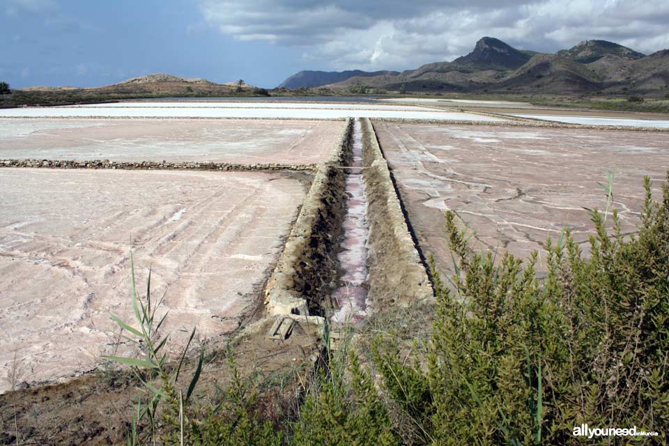 Salinas de Rasall en el Parque Regional de Calblanque