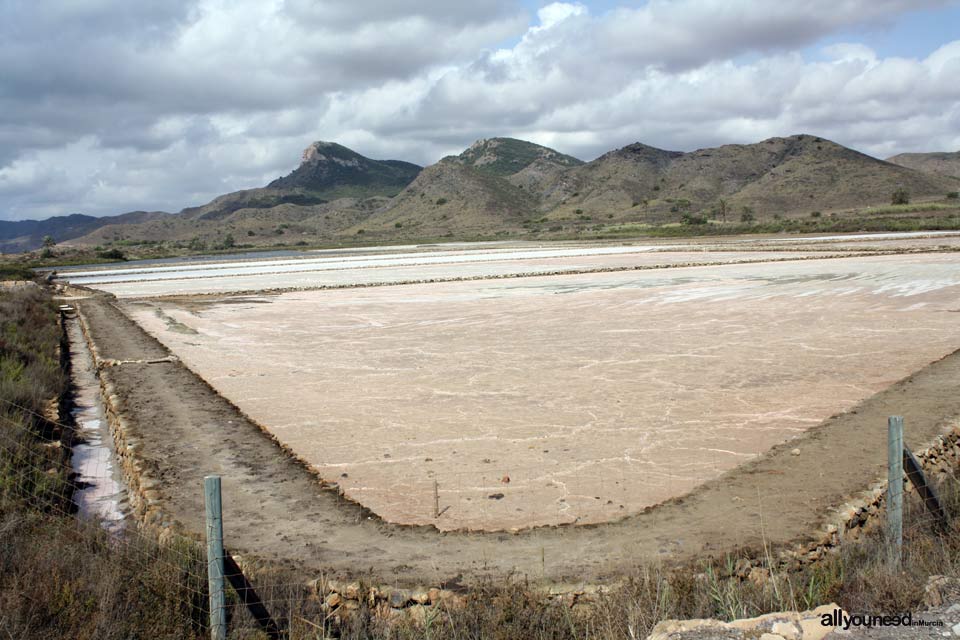 Salinas de Rasall en el Parque Regional de Calblanque