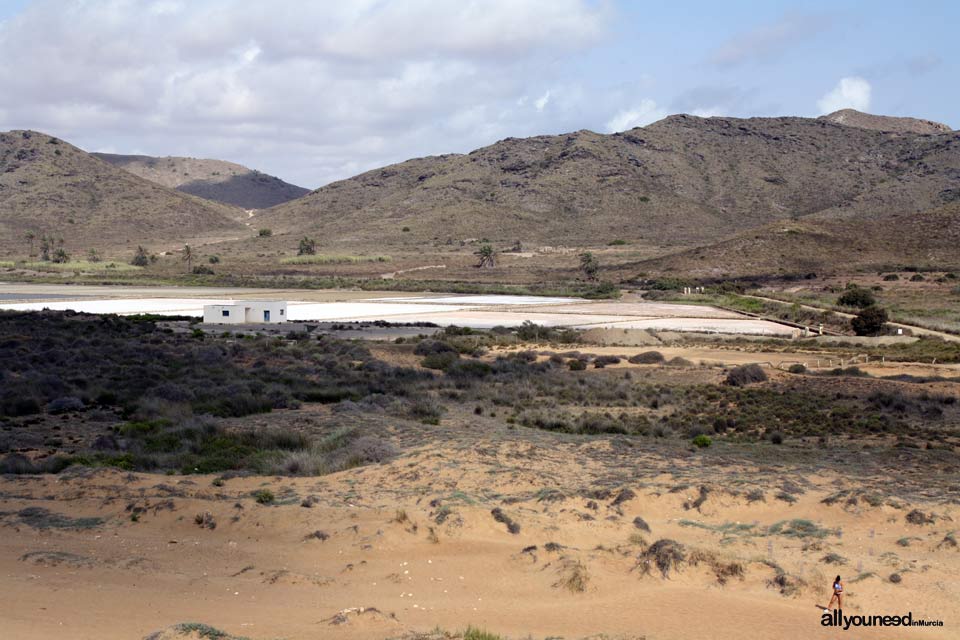 Salinas de Rasall en el Parque Regional de Calblanque