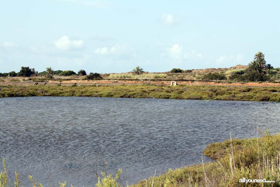 Salinas de Rasall en el Parque Regional de Calblanque