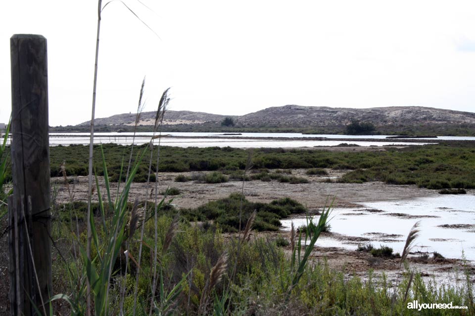 Salinas de Rasall en el Parque Regional de Calblanque