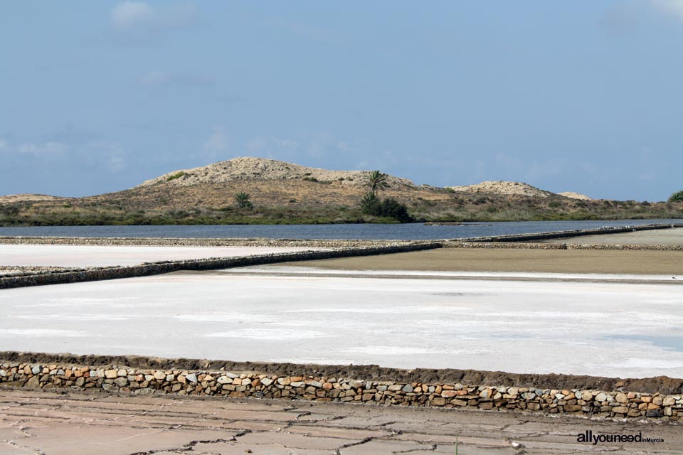 Salinas de Rasall en el Parque Regional de Calblanque