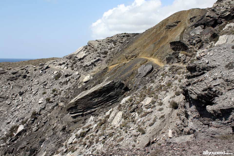 5- Trail on the side of the mountain