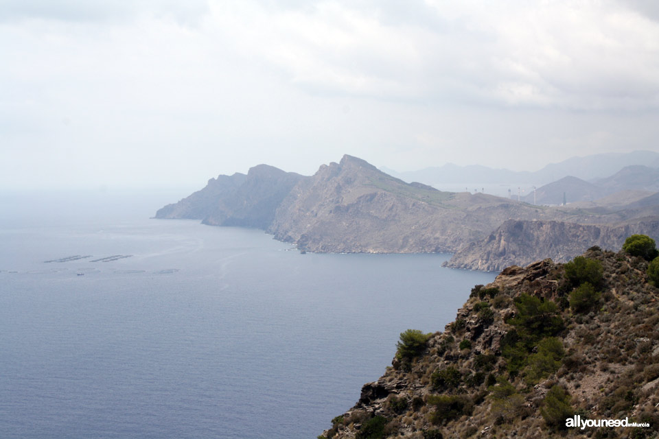 Monte de las Cenizas. Views of Portman Bay