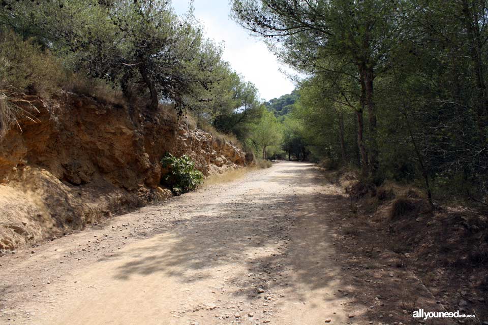 Sendero del Monte de las Cenizas. Senderismo en Calblanque